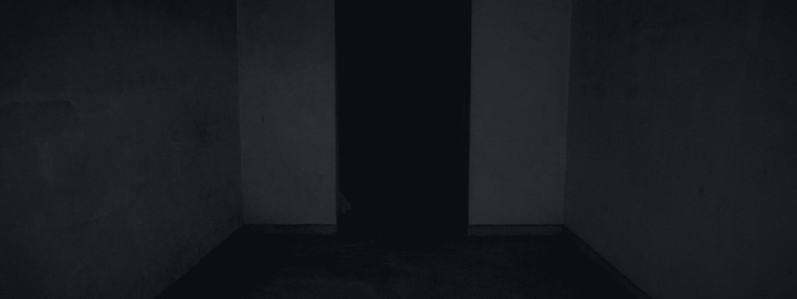 《多洛雷斯·罗奇的恐怖》的背景艺术作品