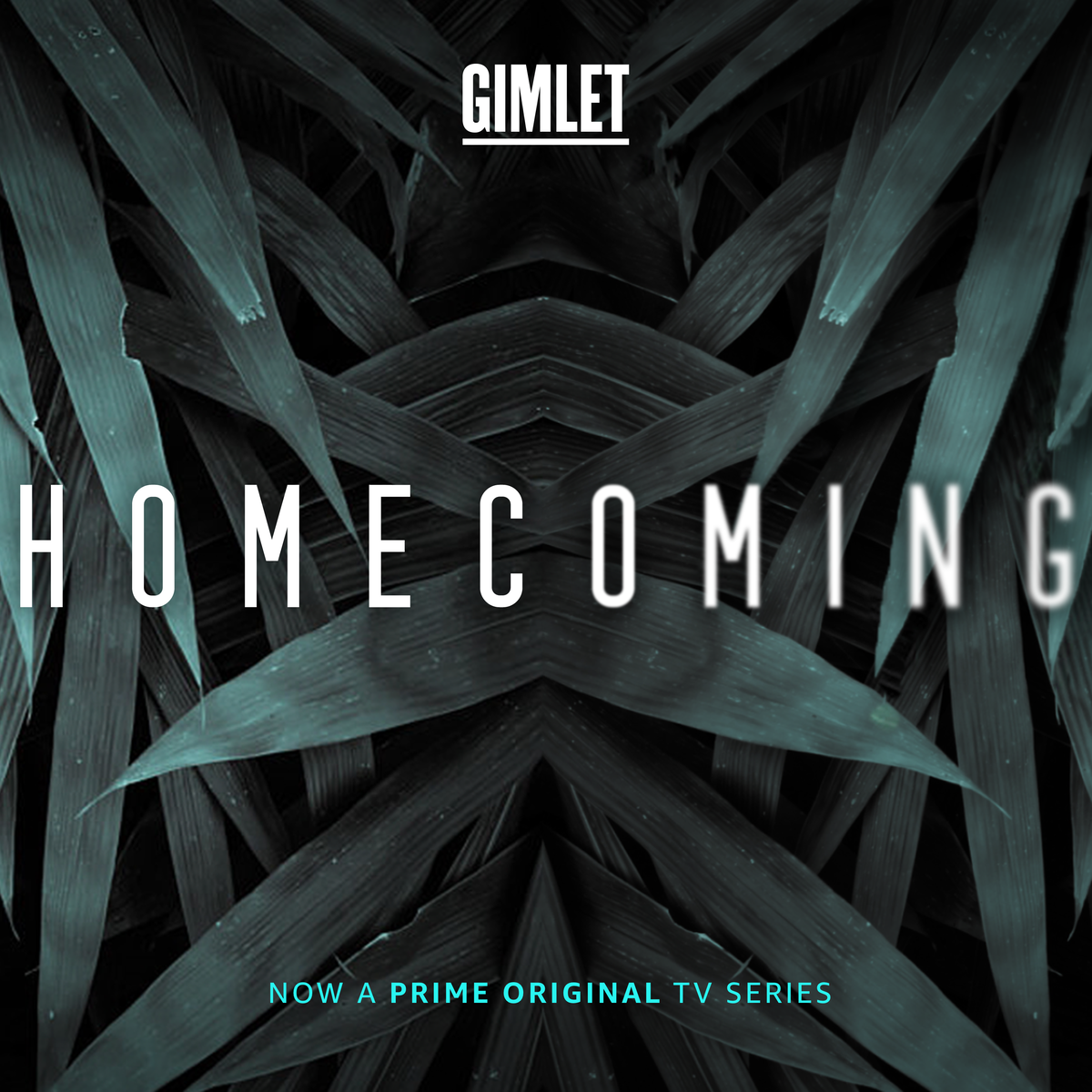 Show artwork for Homecoming